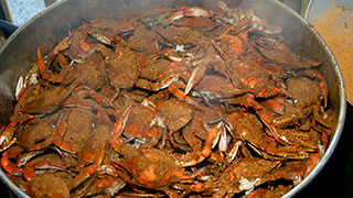steamed crabs